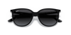 [Grey Gradient Lenses, Polished Black Frame]