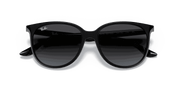 Grey Gradient Lenses, Polished Black Frame