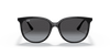 [Grey Gradient Lenses, Polished Black Frame]