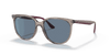 [Dark Blue Lenses, Polished Transparent Grey Frame]