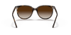 [Gradient Brown Lenses, Polished Havana Frame]