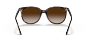 Gradient Brown Lenses, Polished Havana Frame