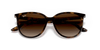 [Gradient Brown Lenses, Polished Havana Frame]