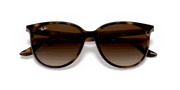 Gradient Brown Lenses, Polished Havana Frame