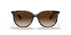 [Gradient Brown Lenses, Polished Havana Frame]