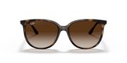 Gradient Brown Lenses, Polished Havana Frame