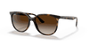 [Gradient Brown Lenses, Polished Havana Frame]