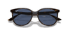 [Dark Blue Lenses, Polished Havana Frame]