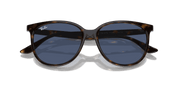 Dark Blue Lenses, Polished Havana Frame