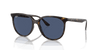 [Dark Blue Lenses, Polished Havana Frame]