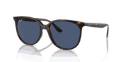 Dark Blue Lenses, Polished Havana Frame