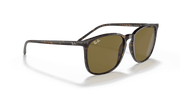 Brown Classic Lenses, Polished Tortoise Frame