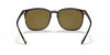 [Brown Classic Lenses, Polished Tortoise Frame]