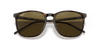 [Brown Classic Lenses, Polished Tortoise Frame]