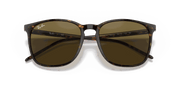 Brown Classic Lenses, Polished Tortoise Frame