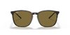 [Brown Classic Lenses, Polished Tortoise Frame]