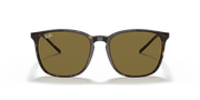 Brown Classic Lenses, Polished Tortoise Frame