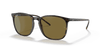 [Brown Classic Lenses, Polished Tortoise Frame]