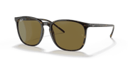 Brown Classic Lenses, Polished Tortoise Frame