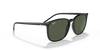 [Green Lenses, Polished Black Frame]