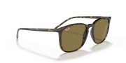 B-15 Brown Lenses, Polished Light Havana Frame