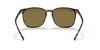 [B-15 Brown Lenses, Polished Light Havana Frame]