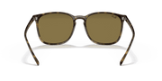 B-15 Brown Lenses, Polished Light Havana Frame