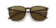 B-15 Brown Lenses, Polished Light Havana Frame