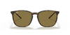 [B-15 Brown Lenses, Polished Light Havana Frame]