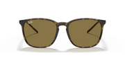 B-15 Brown Lenses, Polished Light Havana Frame