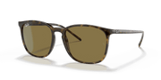 B-15 Brown Lenses, Polished Light Havana Frame