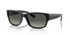 [Grey Lenses, Polished Black Frame]