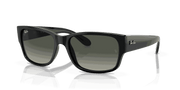 Grey Lenses, Polished Black Frame