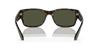 [Green Lenses, Polished Havana Frame]