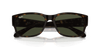 [Green Lenses, Polished Havana Frame]