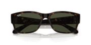 Green Lenses, Polished Havana Frame