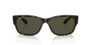 [Green Lenses, Polished Havana Frame]