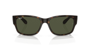 Green Lenses, Polished Havana Frame