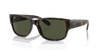 [Green Lenses, Polished Havana Frame]