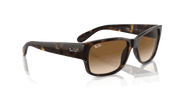 Clear & Brown Lenses, Polished Havana Frame