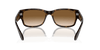 [Clear & Brown Lenses, Polished Havana Frame]