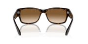 Clear & Brown Lenses, Polished Havana Frame