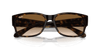 [Clear & Brown Lenses, Polished Havana Frame]