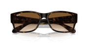 Clear & Brown Lenses, Polished Havana Frame