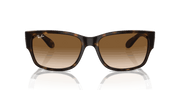 Clear & Brown Lenses, Polished Havana Frame