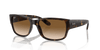 [Clear & Brown Lenses, Polished Havana Frame]