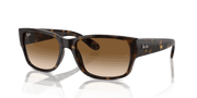 Clear & Brown Lenses, Polished Havana Frame