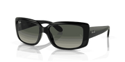 Grey Lenses, Polished Black Frame