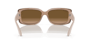 Brown Lenses, Polished Transparent Brown Frame