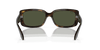 [Green Lenses, Polished Havana Frame]